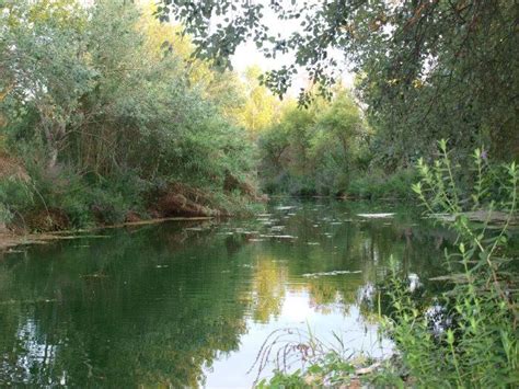 El Clot De La Mare De Deu Espa Ol