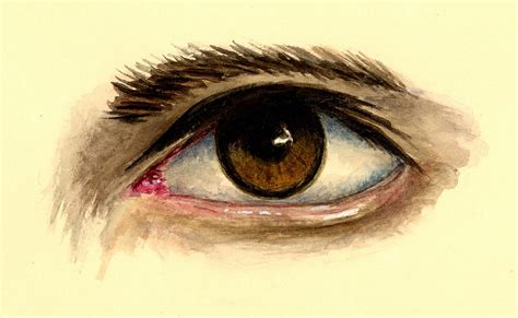 Brown Eye Painting by Michael Vigliotti - Fine Art America