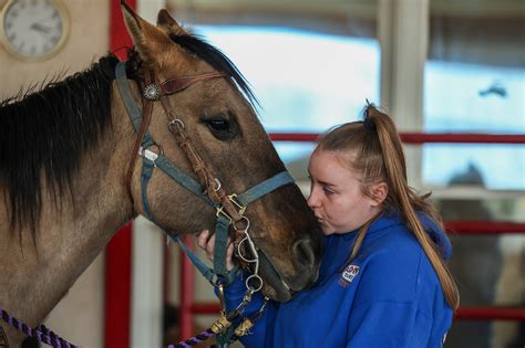 A Stable Operation Show Me Mizzou University Of Missouri MidMO