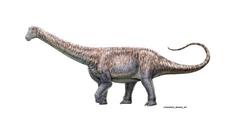 Nueva Especie De Dinosaurio Herb Voro Encontrada En El Mejor Desierto