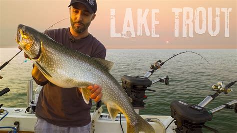 Lake Superior Lake Trout And Salmon Ft Fish North Mn Youtube