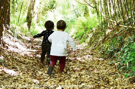 35 ACTIVIDADES PARA DISFRUTAR DE LA NATURALEZA SIGUIENDO LOS PRINCIPIOS ... 
