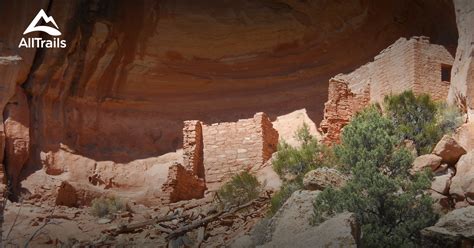 10 Best hikes and trails in Canyons of The Ancients National Monument | AllTrails