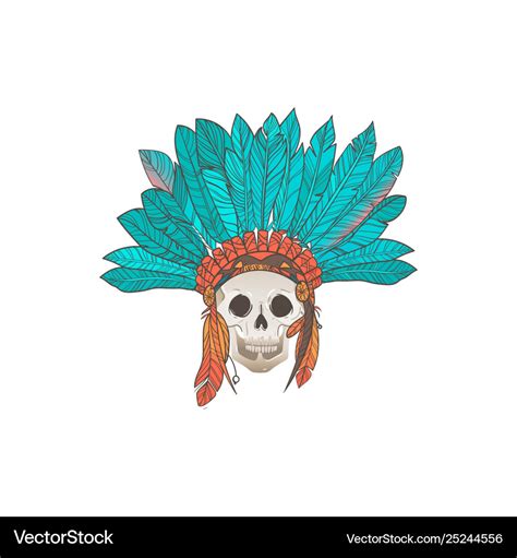 Native American Human Skull