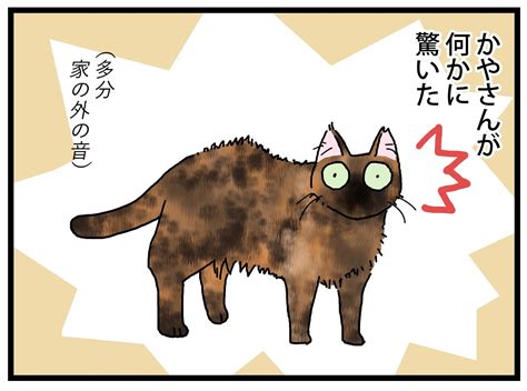 驚くしっぽ 保護猫かやさん～凛々しいサビ猫様と私～