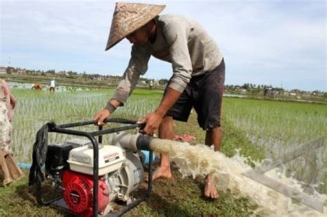 Kementan Percepat Pompanisasi Optimasi Lahan Rawa Dan Ip Agroindonesia