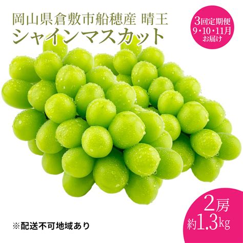 ぶどう 2024年 先行予約 【プレミアムシャインマスカット 晴王 2房 合計約13kg 定期便 3回】船穂産 赤秀品以上 岡山県産 葡萄