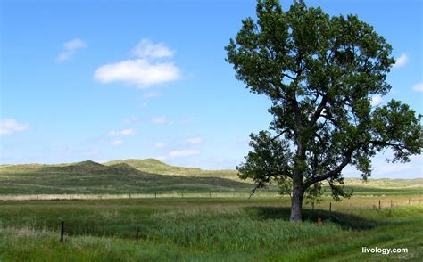 It's All in The Details: The Nebraska Sandhills - Livology