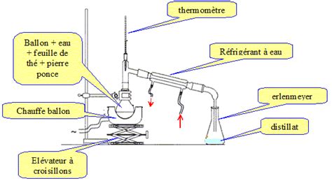 Entra Nement La Vapeur Extraction Par Solvants Chromatographie