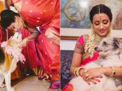 Trisha | Trisha Engagement Broken | Trisha Breaks Up With Varun Manian | Trisha Marriage Wedding ...