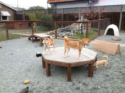 22 Easy Diy Dog Playground Ideas For Small Backyard