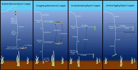 How to Tie a Crappie Rig : An Easy Guide For Beginners - Best Tackle Box