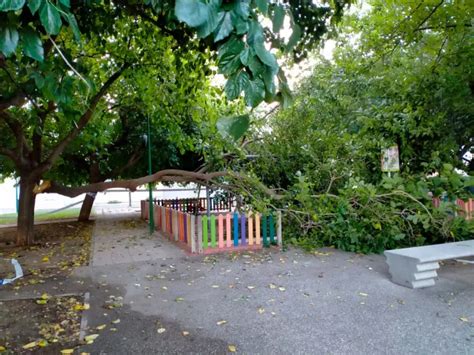 Una Rama De Grandes Dimensiones Cae En Un Parque Infantil De Utebo