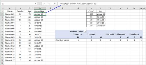 Excel Counting Of Gender Based Upon Age Distribution Stack Overflow