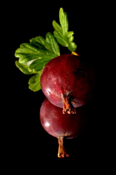 Banco De Imagens Plantar Fruta Baga Folha Flor Pétala Sombrio Comida Vermelho