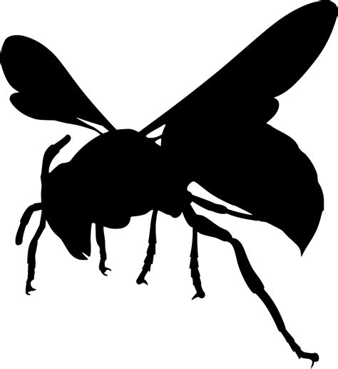 Hornet Silhouette Svg