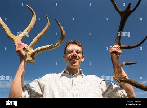 Ancient Antlers From Long Extinct Deer Revealed By Coastal Erosion On