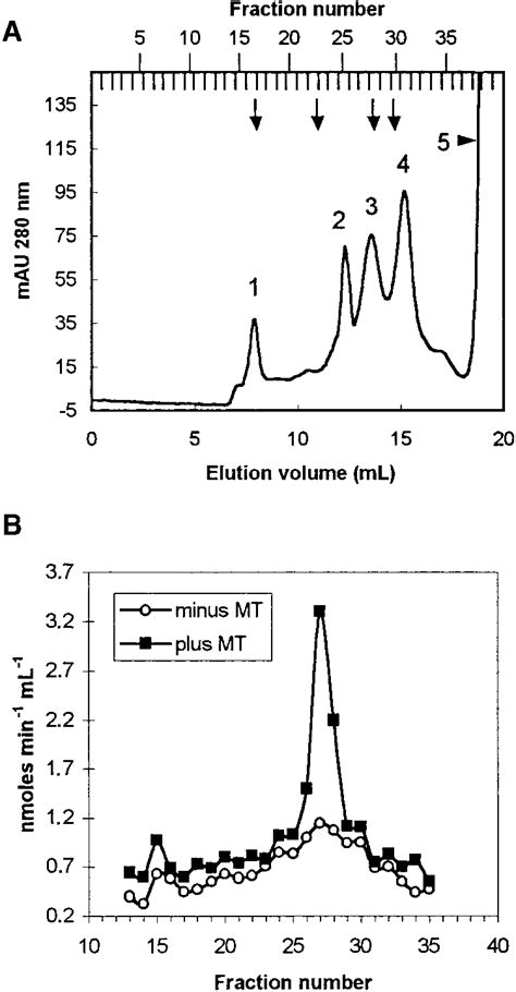 Gel Filtration Chromatography Of The Pollen Tube Atpmaps And