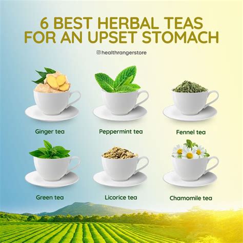 Best Herbal Teas For An Upset Stomach Best Herbal Tea Upset