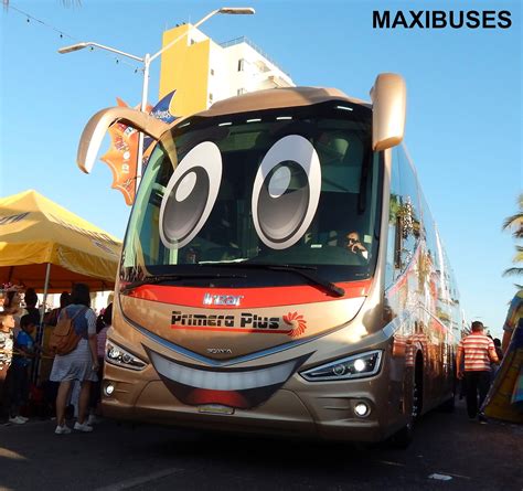 MAXIBUSES: PRIMERA PLUS