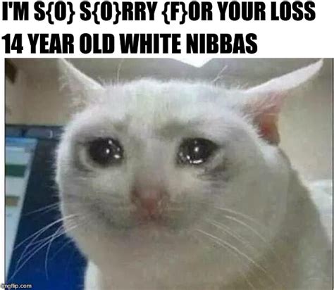 crying cat Memes - Imgflip