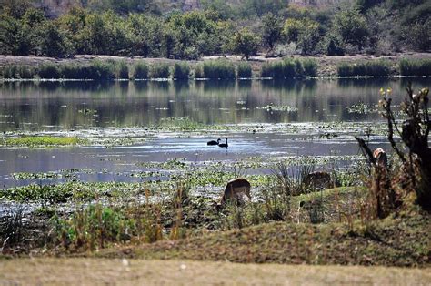 Limpopo Dam Levels Continue To Decline