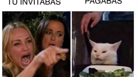 Me Dijiste Que El Arrasador Meme Del Momento Del Gato Y Su