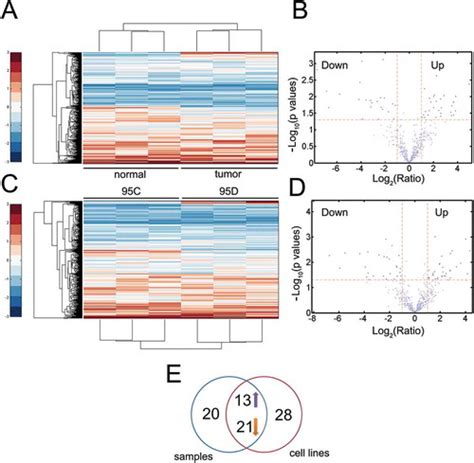 Full Article The Long Non Coding Rna Lsinct Promotes Malignancy In