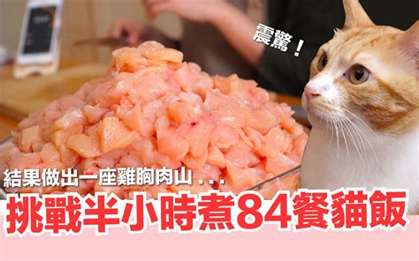 好味小姐挑战！半小时煮完一周猫饭！【猫主食】好味猫鲜食厨房ep102哔哩哔哩bilibili