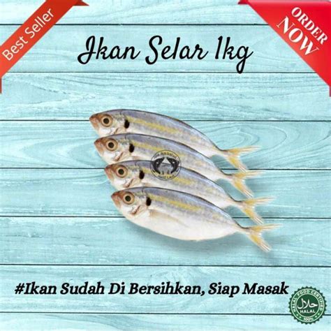 Jual Ikan Selar Segar Ikan Segar Laut Kecil Di Seller Mina Jaya