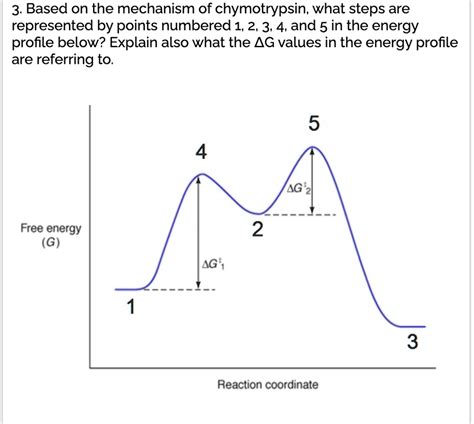 3 based on the mechanism of chymotrypsin what steps are represented by points numbered 1 2 3 ...