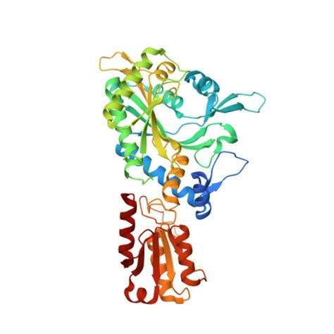 Rcsb Pdb Ugq Crystal Structure Of The Apo Form Of The Yeast