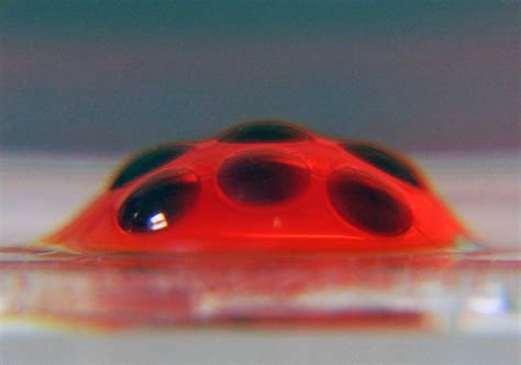 Insect Eye Camera Developed By Ohio State Engineers Offers Wide View