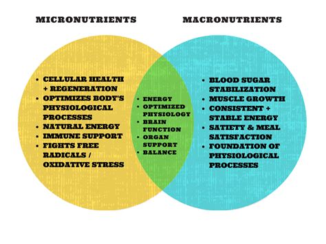 Bridging The Gap Between Macros And Micros Raleigh Raw