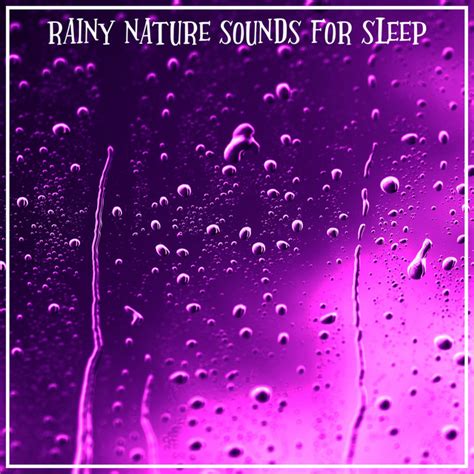 Rainy Nature Sounds For Sleep Album By Sleep Sounds Of Nature Spotify