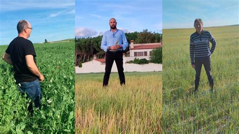 El clamor del campo salmantino ante la sequía Grano se puede coger