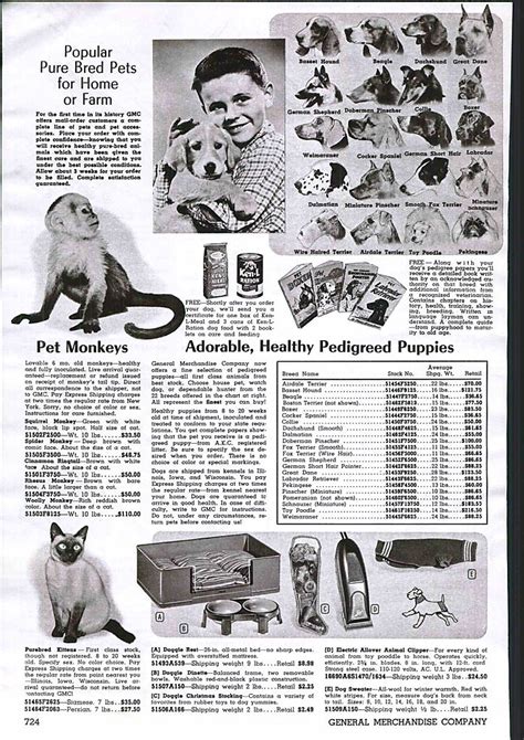 Andy's World: Vintage Pet Monkey Advertisements