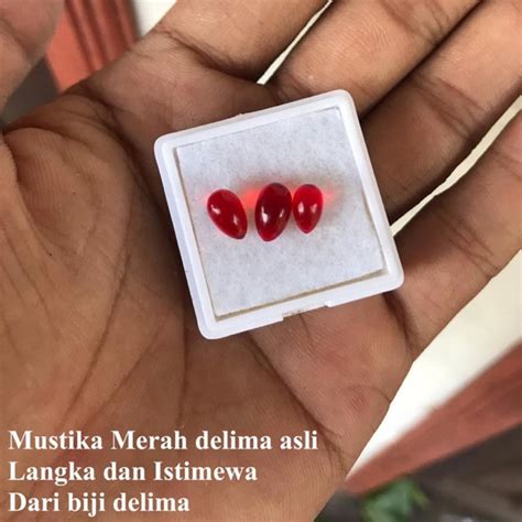 Jual Batu Mustika Merah Delima Asli Fosil Biji Delima Shopee Indonesia