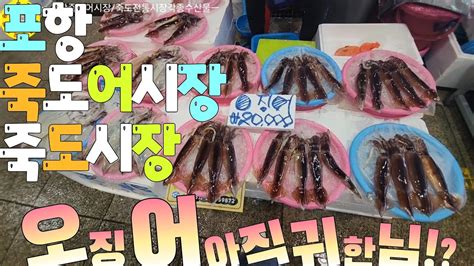 水産市場 포항죽도시장 죽도어시장 각종수산물 맛집 견문록삶2175 Pohang Jukdo fish market korea