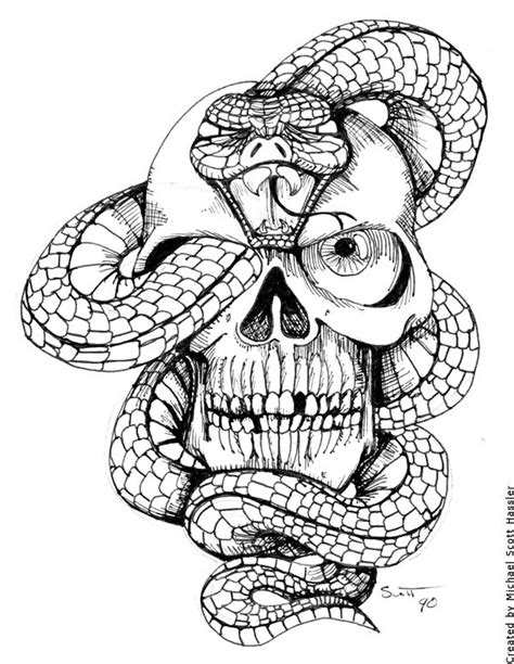 Pencil Drawings Of Skulls And Snakes