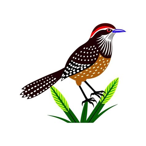 Premium Vector Cactus Wren Bird Silhouette