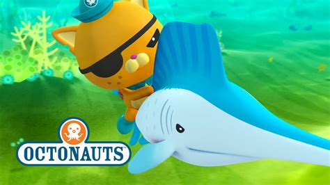 Octonauts Sailfish Are Faster Than The Gup F Youtube