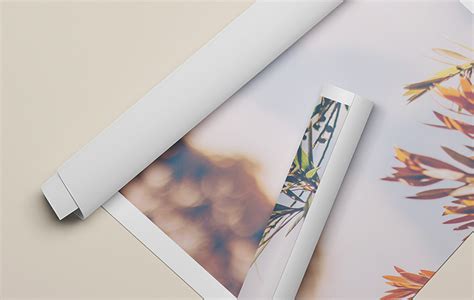 Rolled Canvas Mockup Graphic By Sujhonsharma · Creative Fabrica