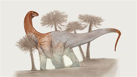 Nueva Especie De Dinosaurio Gigante Encontrada En La Patagonia