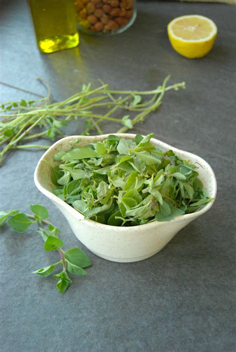 Fresh-Oregano-for-Pesto