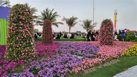 Yanbu Flower Festival 2024 Location - Karon Brunhilde