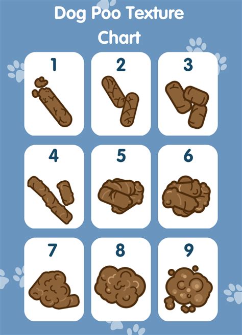 Dog Poop Color Chart Whats Normal Pet Drugs Online