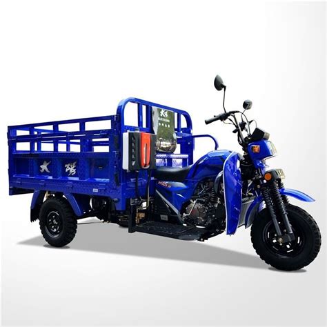 China Customized Cc Carga Trimoto Motoris Lieferanten Hersteller