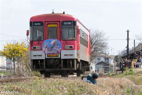 鉄道風景写真が撮りたーいっ！ 北条鉄道 あっち向いても こっち向いても！