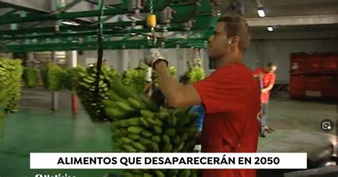 Agroavances Los Alimentos Que No Existir N En Por El Cambio